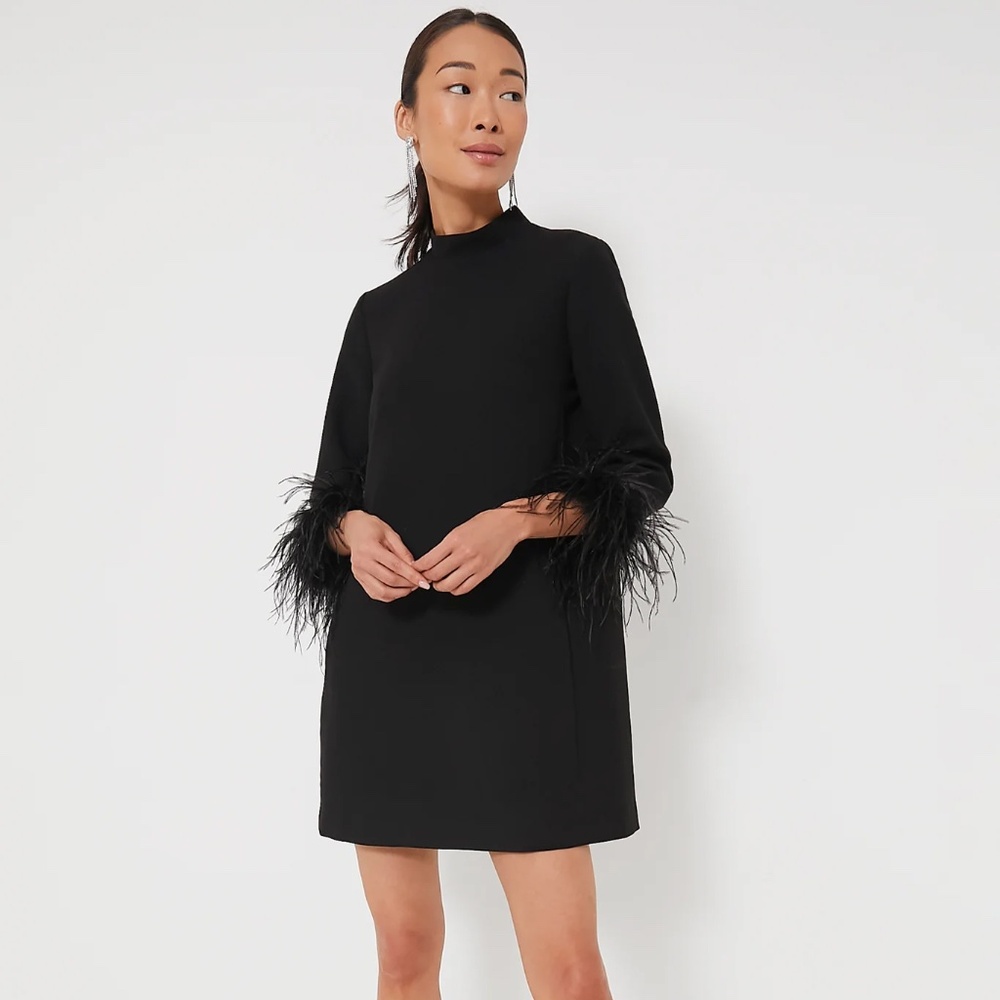 Black Feather Mod Ellie Dress